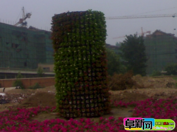 20110722698.jpg