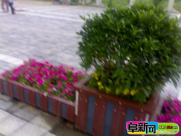 20110722701.jpg