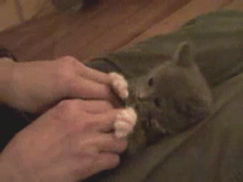 824c0dffdc907e025d6008c0.gif