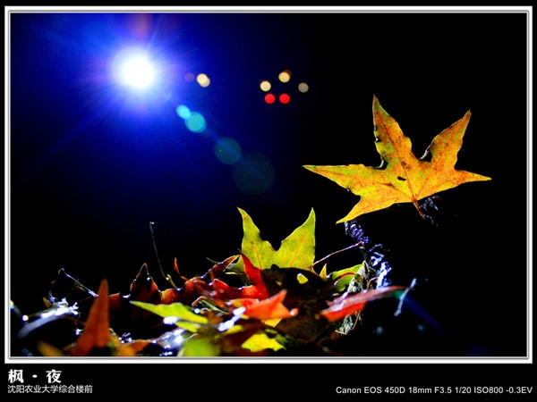 p_large_oWxO_79bc0006a4822d12.jpg