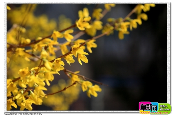 nEO_IMG_DPP_0006.jpg