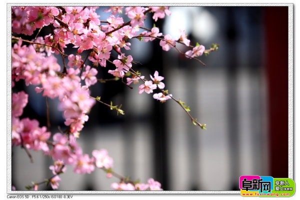 nEO_IMG_DPP_0010.jpg