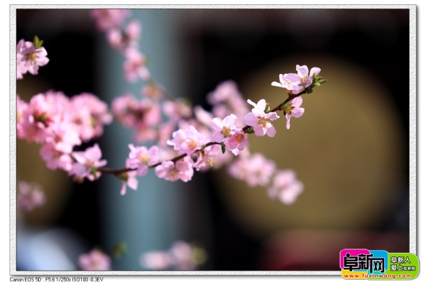 nEO_IMG_DPP_0011.jpg