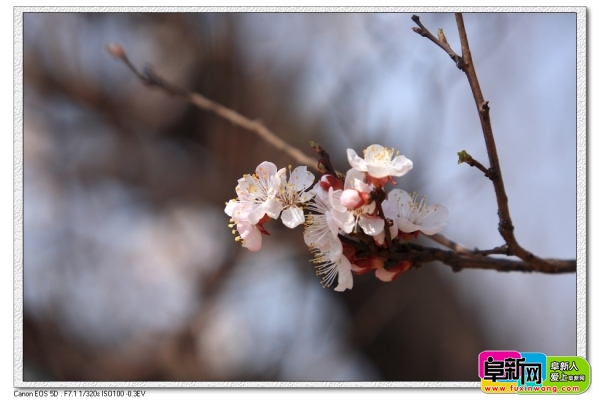 nEO_IMG_DPP_0021.jpg