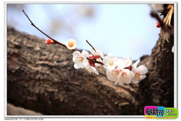 nEO_IMG_DPP_0028.jpg
