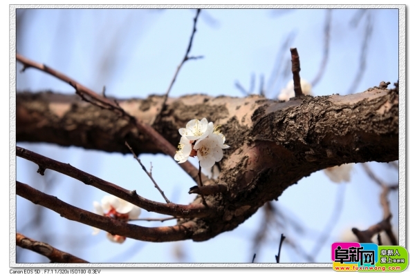 nEO_IMG_DPP_0033.jpg
