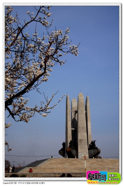 nEO_IMG_DPP_0056.jpg