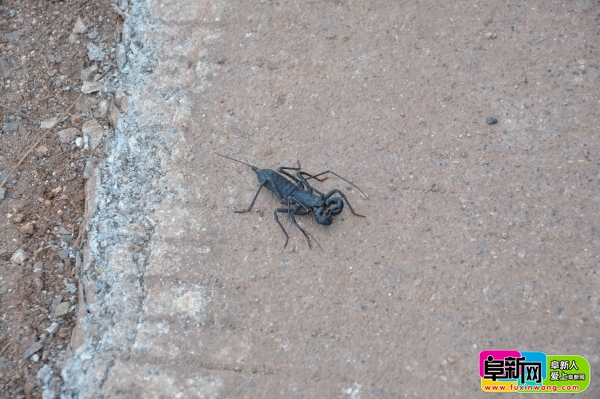 ��֪��������