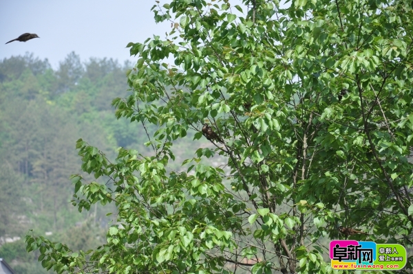 ������......