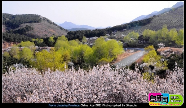 DSC_2765.jpg