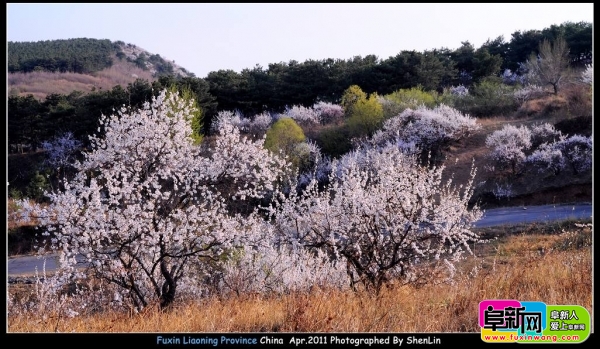 DSC_2780.jpg