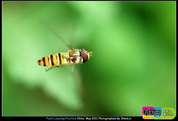 DSC_3205.jpg