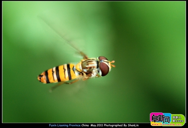 DSC_3207.jpg
