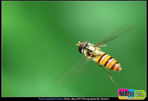 DSC_3210.jpg