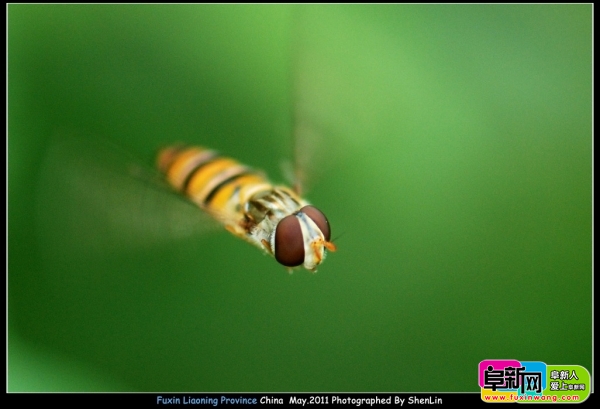 DSC_3213.jpg