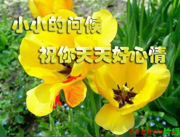 632f8d469c8a0453879473fa.jpg