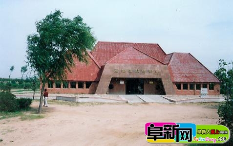 57.jpg