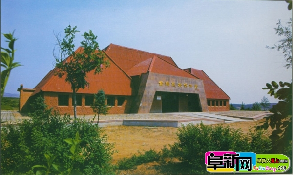 59.jpg