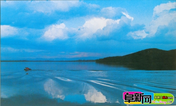91.jpg