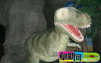 113.jpg