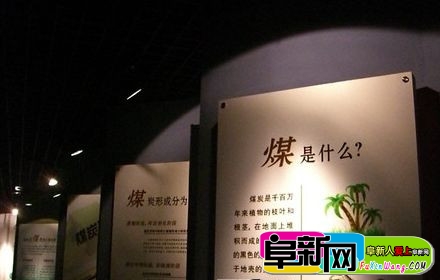 110.jpg