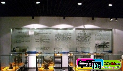 116.jpg