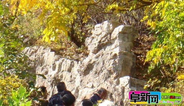 135.jpg