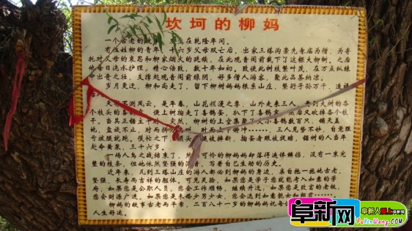 137.jpg