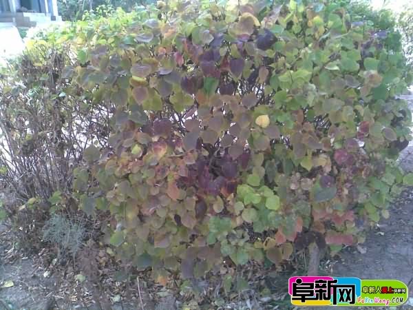 ���� ���� 20111016(009).jpg