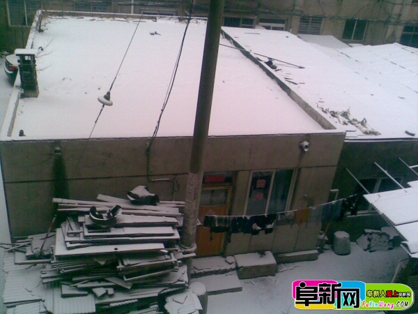 20111122.jpg