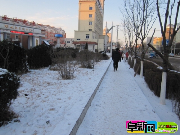 IMG_1819.jpg