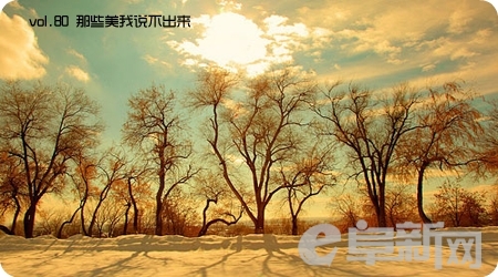 12730494702969-1.jpg.pagespeed.ce.EsOTt5-fA1.jpg