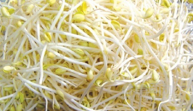 20110425115216727.jpg
