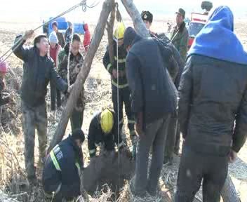 20130225141819333.jpg
