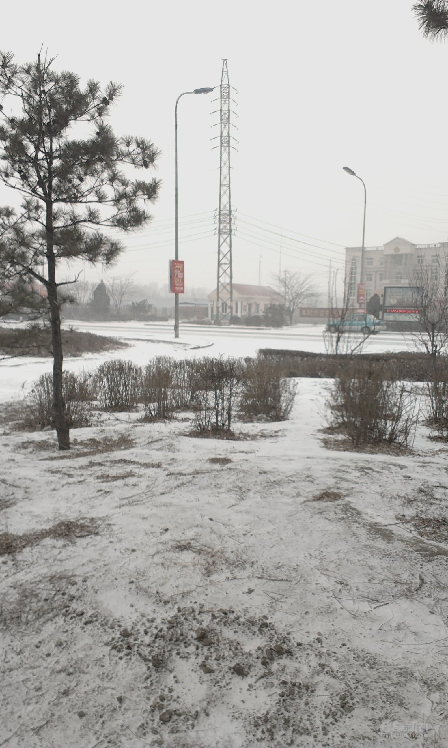 IMAG0472.jpg