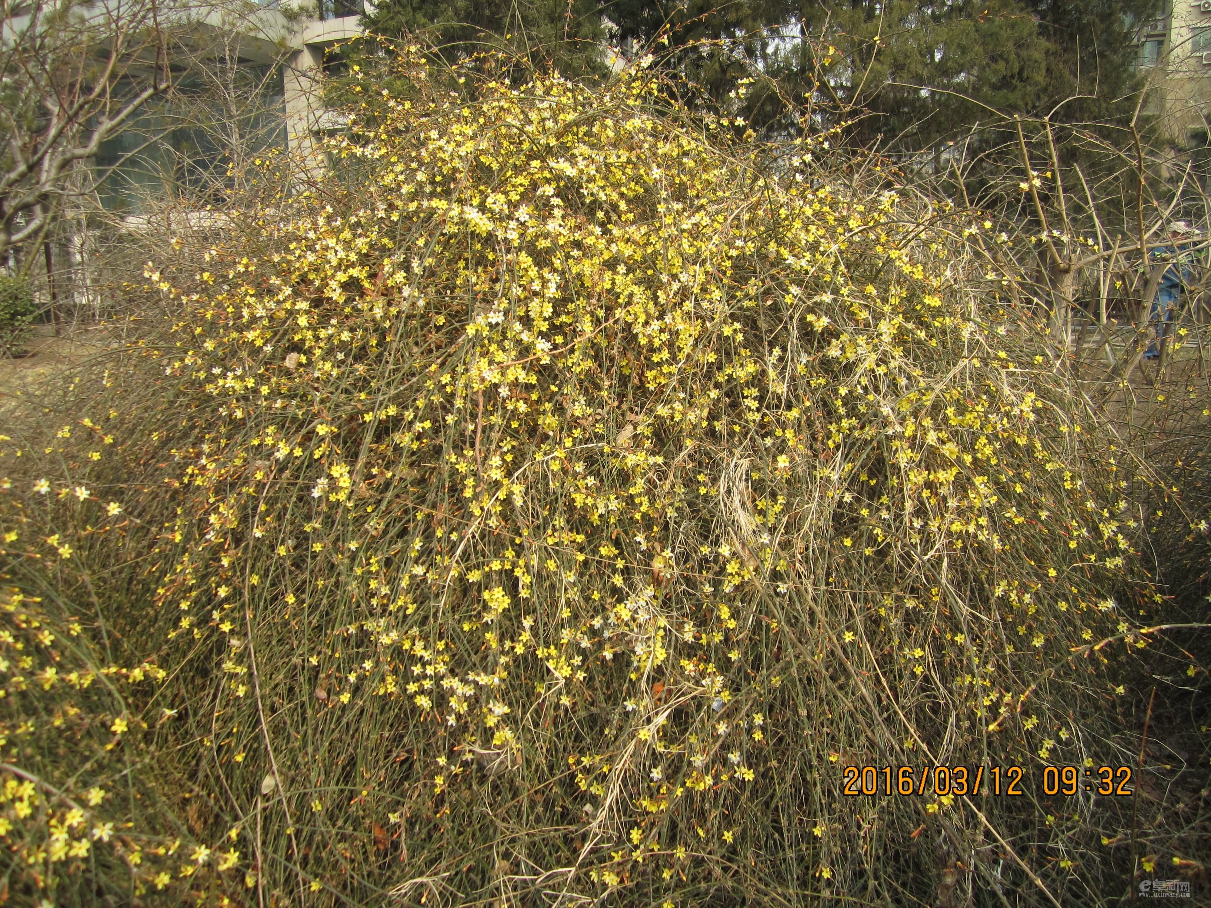 IMG_4669.JPG